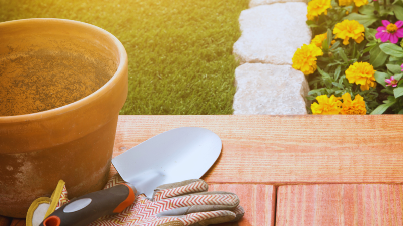 Spring Gardening